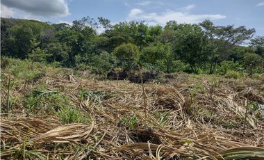 VENTA LOTE EN LA VIRGINIA RISARALDA | LOTES EN VENTA