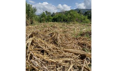 VENTA LOTE EN LA VIRGINIA RISARALDA | LOTES EN VENTA