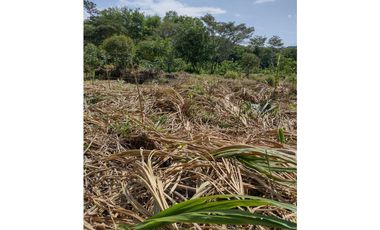 VENTA LOTE EN LA VIRGINIA RISARALDA | LOTES EN VENTA