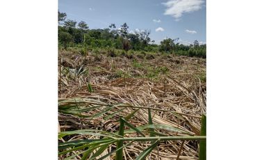 VENTA LOTE EN LA VIRGINIA RISARALDA | LOTES EN VENTA