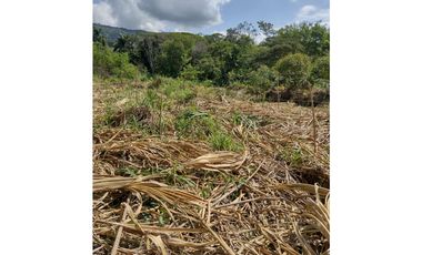 VENTA LOTE EN LA VIRGINIA RISARALDA | LOTES EN VENTA