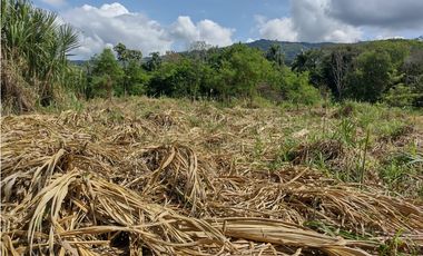 VENTA LOTE EN LA VIRGINIA RISARALDA | LOTES EN VENTA