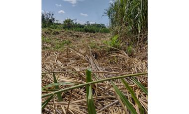 VENTA LOTE EN LA VIRGINIA RISARALDA | LOTES EN VENTA