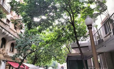 Alquiler Departamento Recoleta