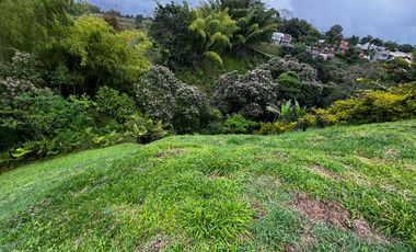 Lote Venta Vereda Huertas Pereira Vía Armenia