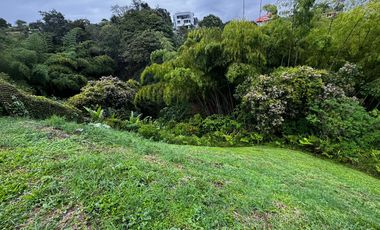 Lote Venta Vereda Huertas Pereira Vía Armenia