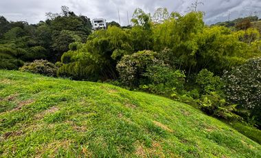 Lote Venta Vereda Huertas Pereira Vía Armenia