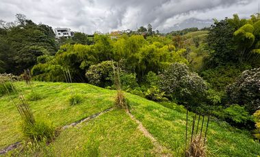 Lote Venta Vereda Huertas Pereira Vía Armenia