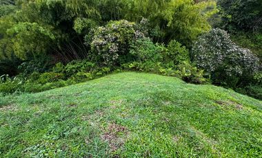 Lote Venta Vereda Huertas Pereira Vía Armenia