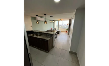 ALQUILO APARTAMENTO EN PH GREENWOOD