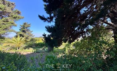 Casa en Venta en Del Pinar - Av. del Parque