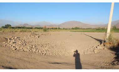 Venta de 2 Lotes de Terreno Rural Agrícola en Calle Larga