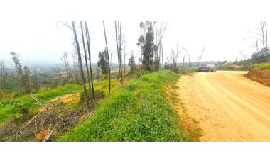 5.000 M2 Condominio Valle Verde Mar A 10 Mins De Quilpué
