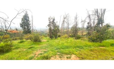 5.000 M2 Condominio Valle Verde Mar A 10 Mins De Quilpué