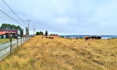 11,5 hectáreas con vista al mar en exclusivo sector urbano Lo Gamboa de Castro.