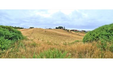 11,5 hectáreas con vista al mar en exclusivo sector urbano Lo Gamboa de Castro.