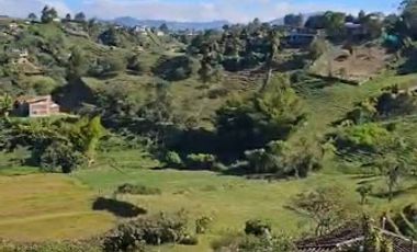 VENTA de FINCAS en MARINILLA