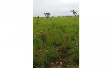 FINCA EN VENTA, VICHADA