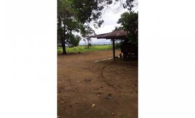 FINCA EN VENTA, VICHADA