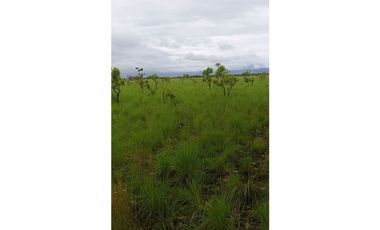 FINCA EN VENTA, VICHADA