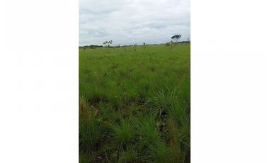 FINCA EN VENTA, VICHADA