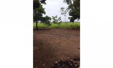 FINCA EN VENTA, VICHADA