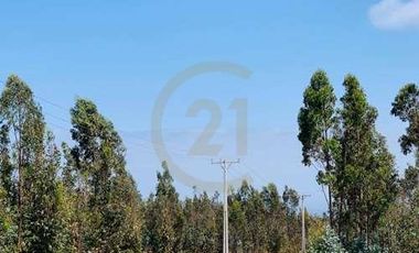 VENTA PARCELA PICHILEMU CAHUIL 3 CABAÑAS