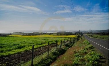 VENTA PARCELA PICHILEMU CAHUIL 3 CABAÑAS