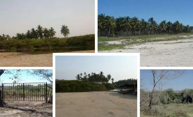 Terreno de 22.5 Ha con frente de playa a la venta en Joluta Guerrero.
