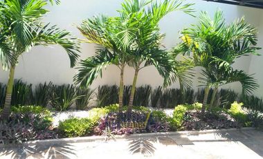 EXCEPCIONAL CASA  CON ALBERCA Y PANELES SOLARES EN RENTA O VENTA EN COL. JARDINES
