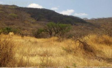 En Venta Terreno en Tepexco Puebla C3019