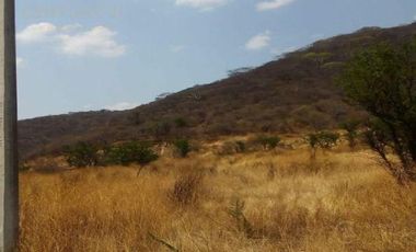 En Venta Terreno en Tepexco Puebla C3019