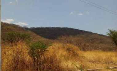 En Venta Terreno en Tepexco Puebla C3019