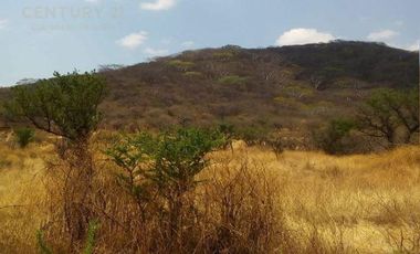 En Venta Terreno en Tepexco Puebla C3020