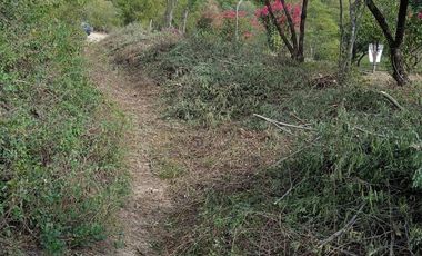 Terreno en Renta en Villa de Santiago