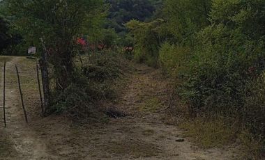 Terreno en Renta en Villa de Santiago