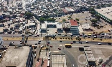 Local - 19 de Septiembre