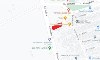 Venta y Renta de Terreno de 800 m2 en Av. Del Bosque, Col. Santa Isabel, Coatzacoalcos, Veracruz.