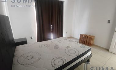 Departamento Amueblado en Renta en Fracc. Punta Laguna, Altamira Tamaulipas.