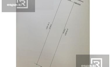 TERRENO EN RENTA O VENTA SOBRE AVENIDA LOMBARDO TOLEDANO