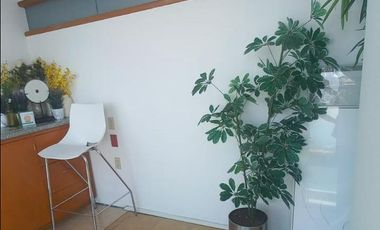 RENTA DE OFICINAS EN METEPEC