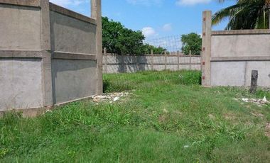 Renta de Terreno de 1250 m2 en calle 18 de Marzo, Col. Estero del Pantano, Cosoleacaque, Ver.