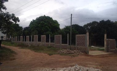 Terreno Comercial en Renta, Calle Benito Juarez, colonia Canticas