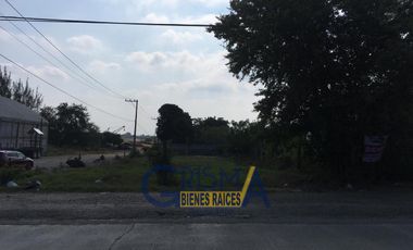 TERRENOEN RENTA EN CARRETERA A COBOS