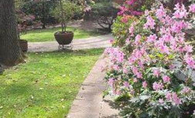 Casa en renta en Bosque de Tlalpan