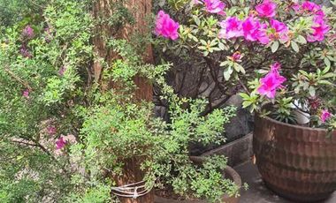 Casa en renta en Bosque de Tlalpan