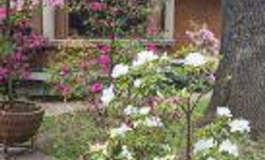 Casa en renta en Bosque de Tlalpan