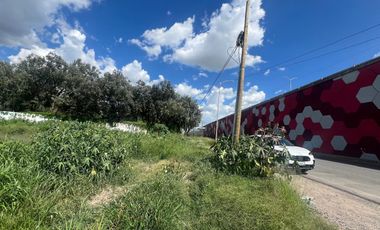 Terreno en renta Silao - León, Silao Guanajuato