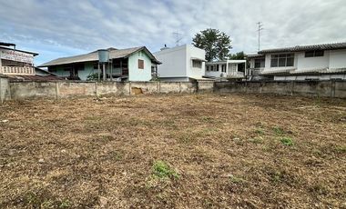 Land for sale in Rop Wiang, Chiang Rai