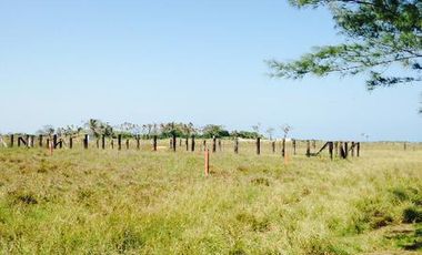 Renta de 2 Terrenos en Predio San Joaquín